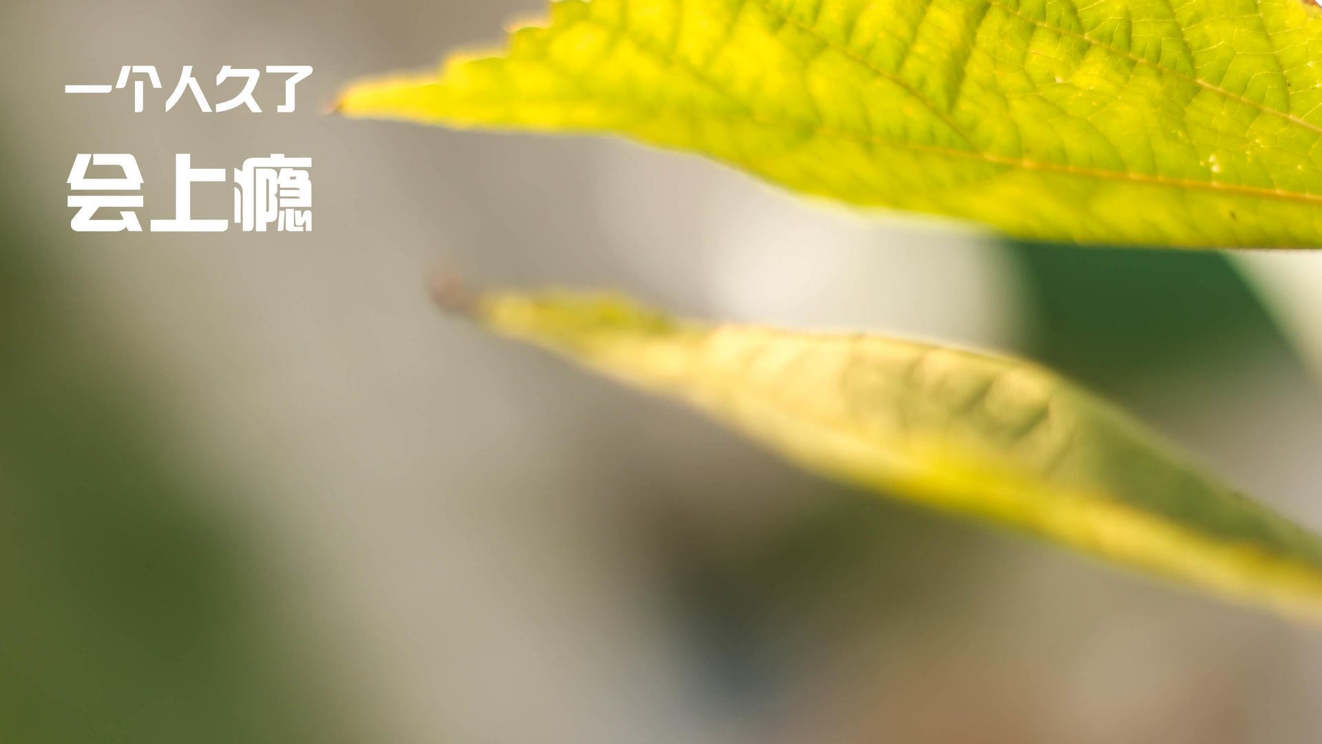 中国女篮积极引进先进训练方法,中国女篮训练内容