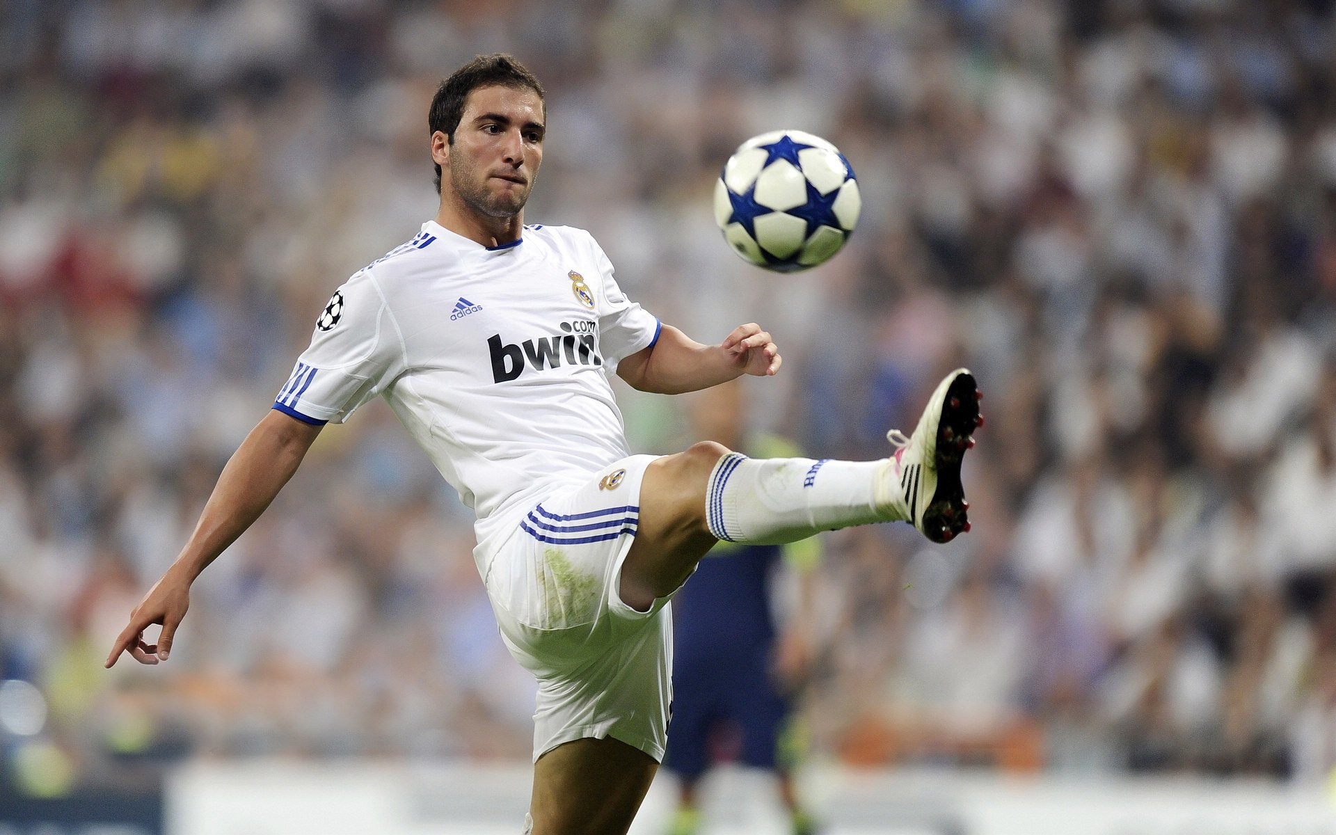 NBA总决赛凯尔特人再胜独行侠 绿军夺冠点手握赛点优势，nba总决赛谁能夺冠